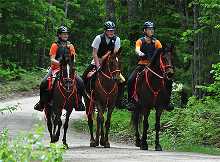 Endurance & Trail Riding Tack  Beta Biothane Tack & Trail Riding Gear
